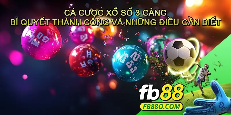 Cá cược Xổ số 3 càng - Bí quyết thành công và những điều cần biết