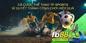 Cá cược thể thao TP Sports - Bí quyết thành công và kinh nghiệm chơi hiệu quả