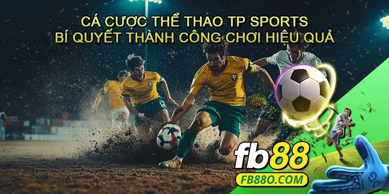 Cá cược thể thao TP Sports - Bí quyết thành công và kinh nghiệm chơi hiệu quả