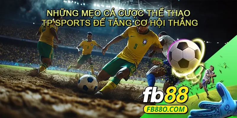 Những mẹo cá cược thể thao TP Sports để tăng cơ hội thắng