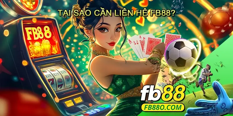Tại sao cần liên hệ Fb88
